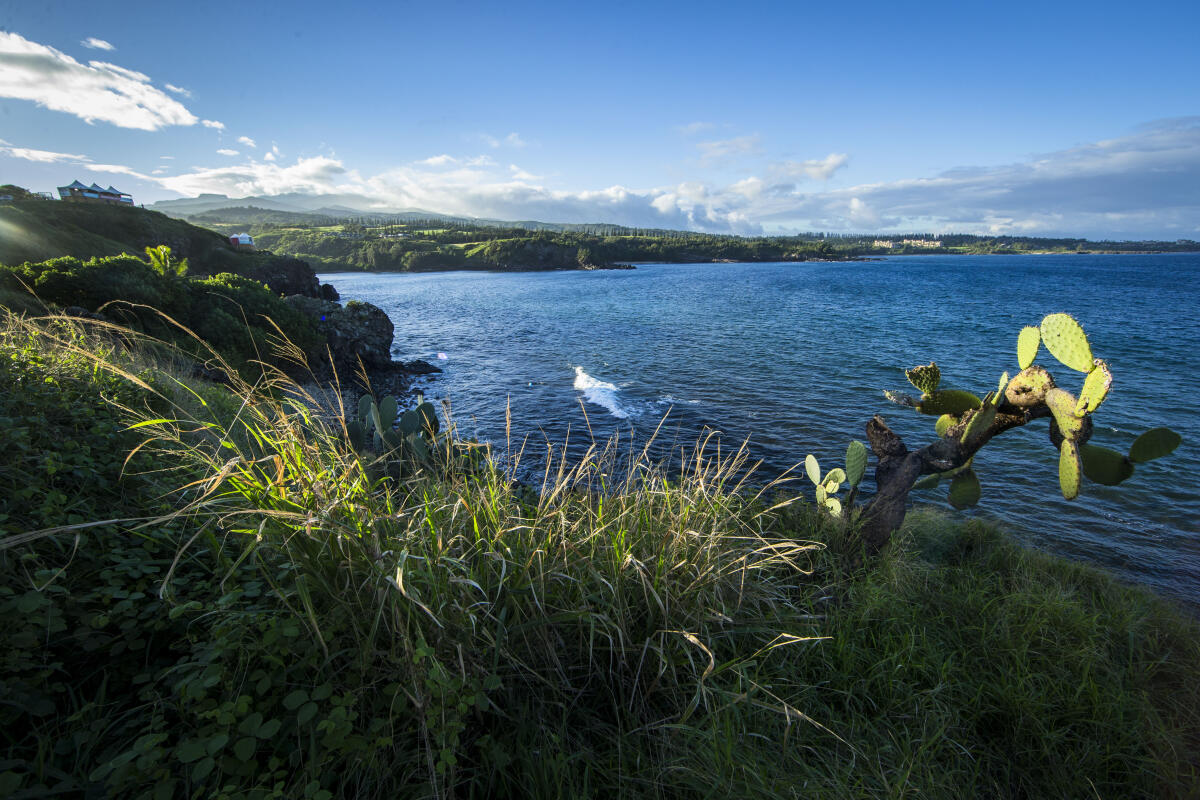 Landscape Maui