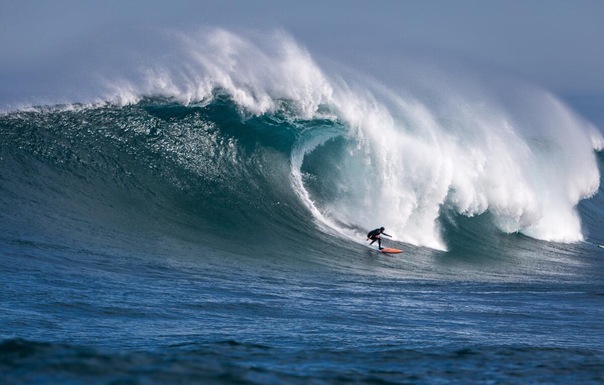 2020 Biggest Paddle Entry: Frank Solomon at Dungeons A