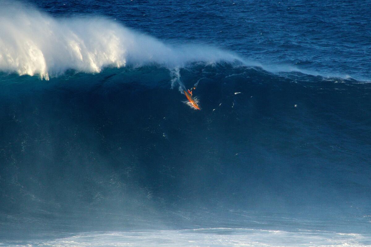 Danilo Couto at Jaws