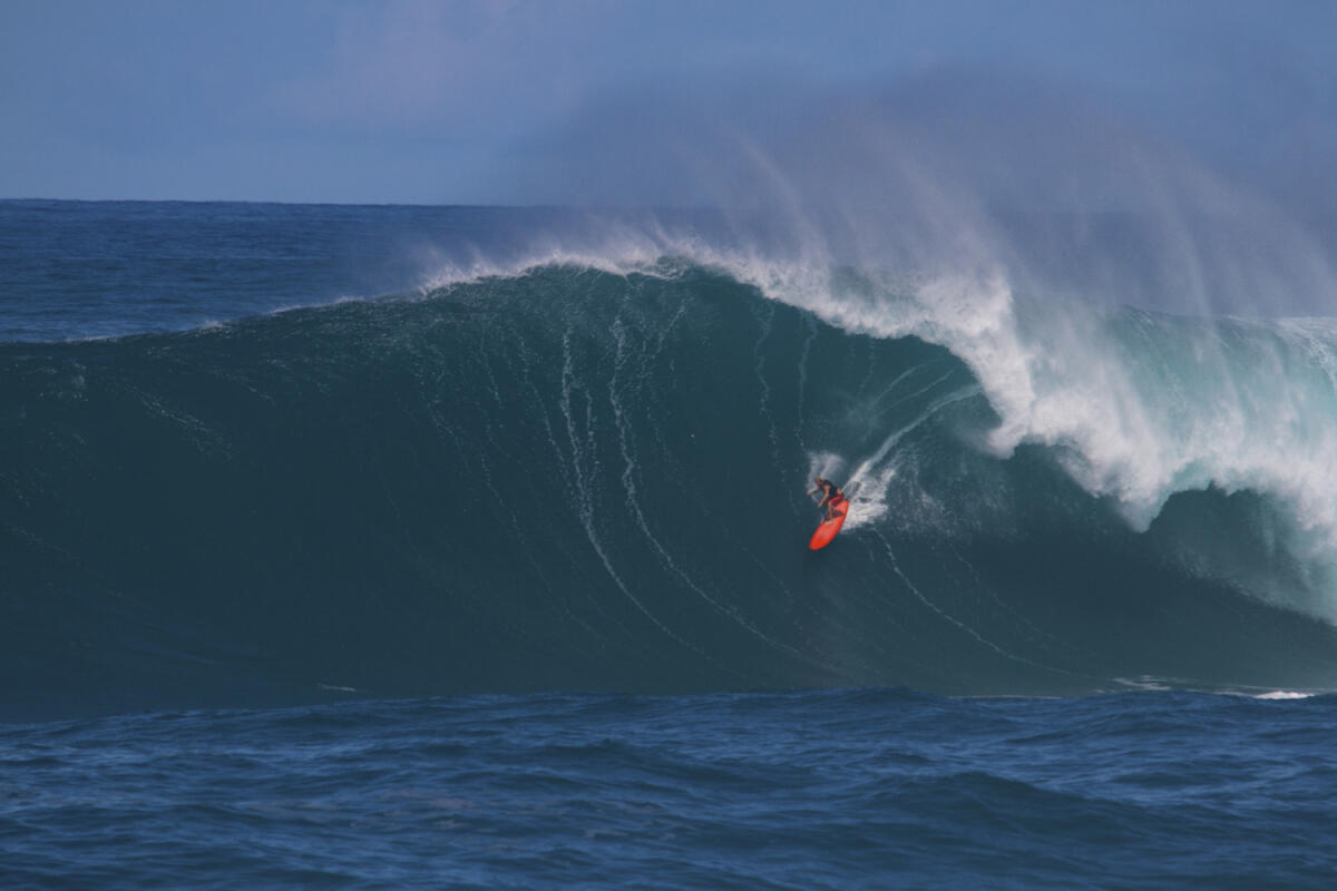 Will Hunt at Jaws