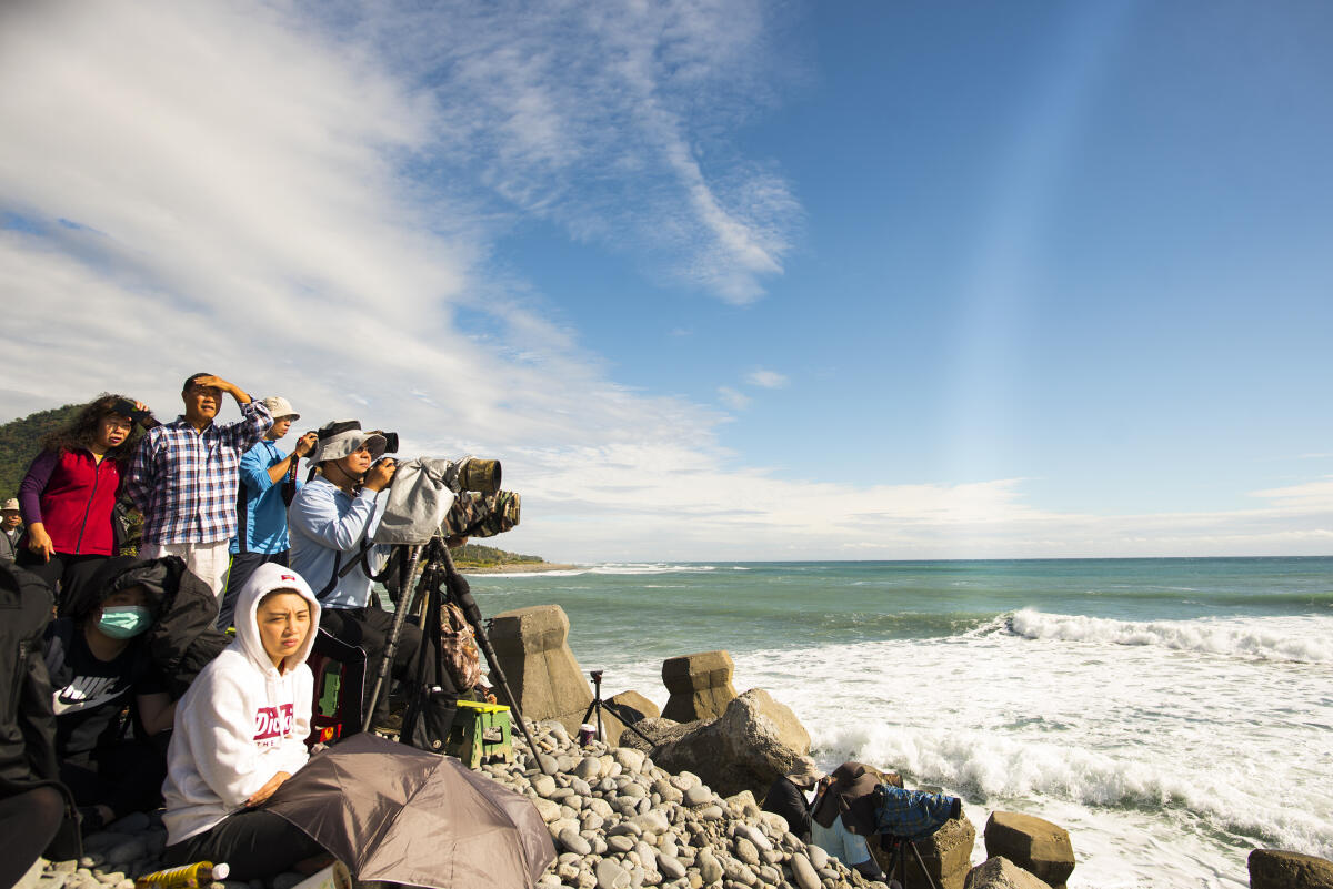 Photographers at Jinzun Harbour