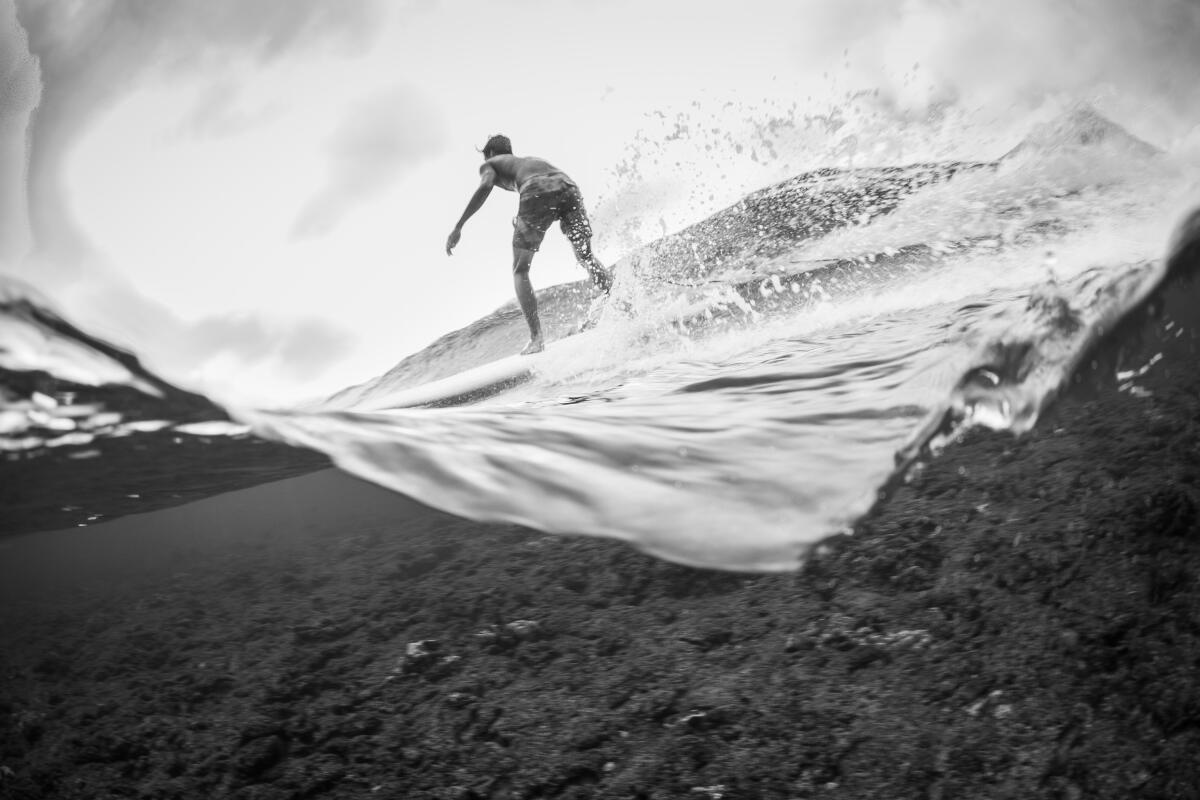 freesurfer Honolua