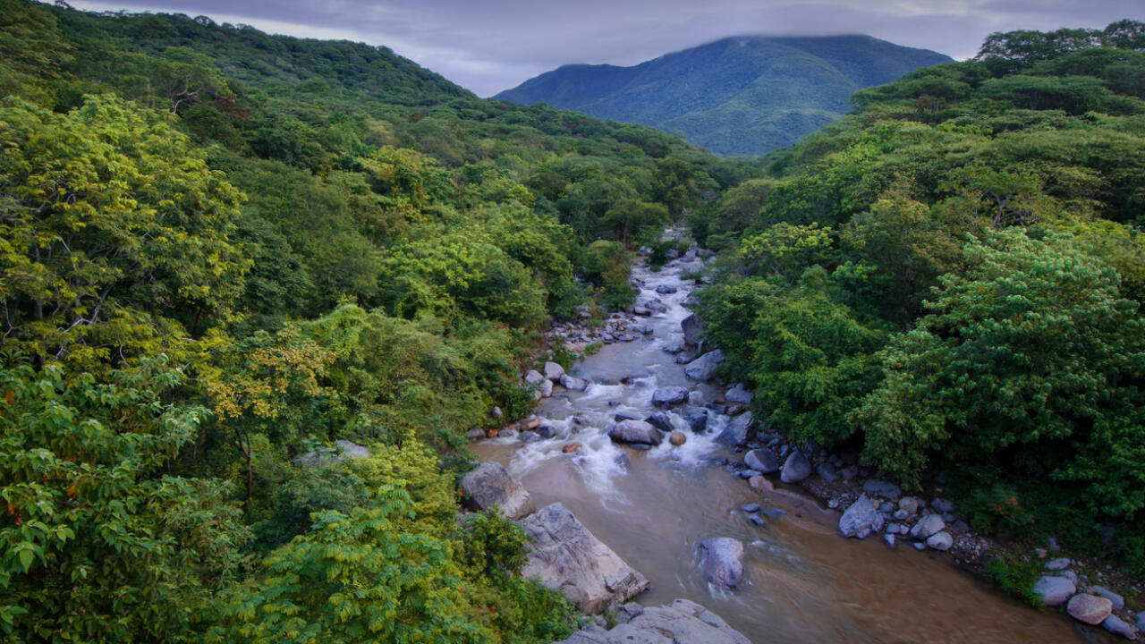 The watersheds and tropical forests in the mountains above Barra de la Cruz and Huatulco, Oaxaca help to store water and atmospheric carbon and are critical in the fight against climate change.  Photo: MIguel Angel de la Cueva