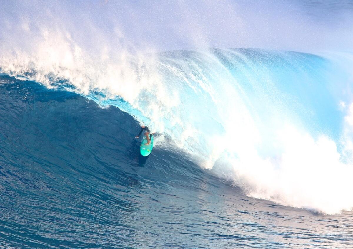 Paige Alms at Jaws
