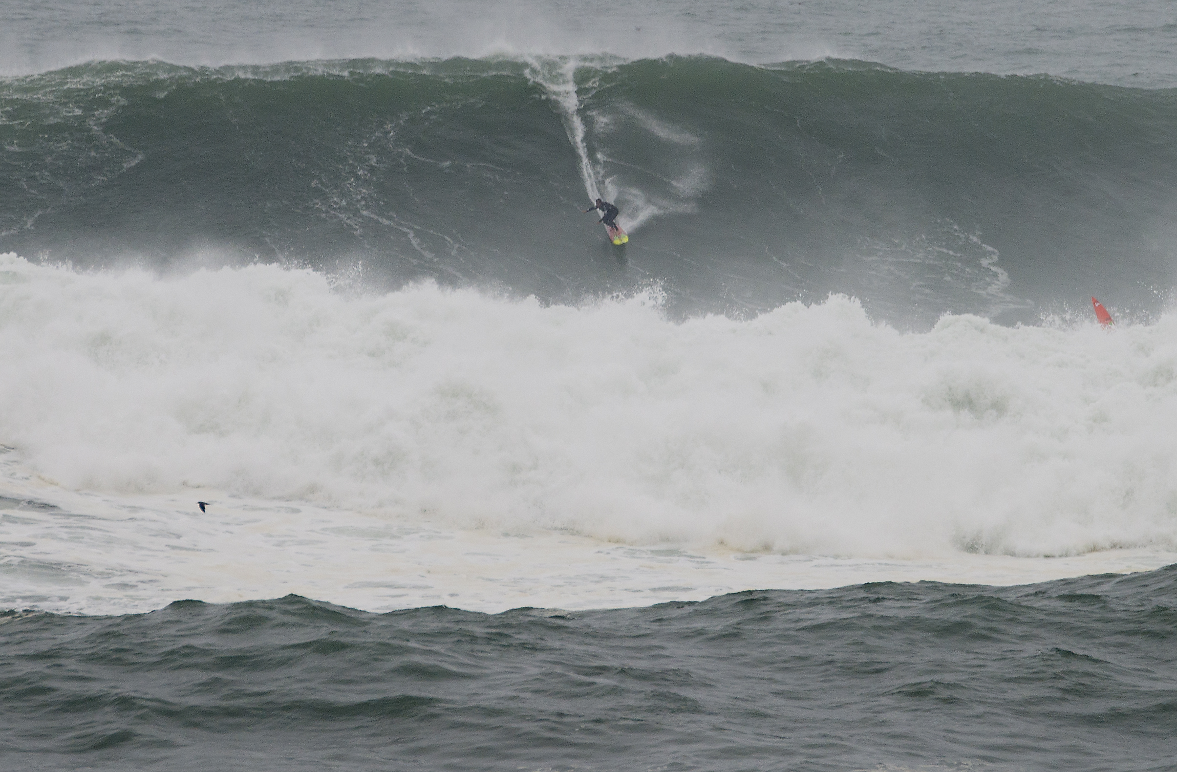 Pico alto store peru surf