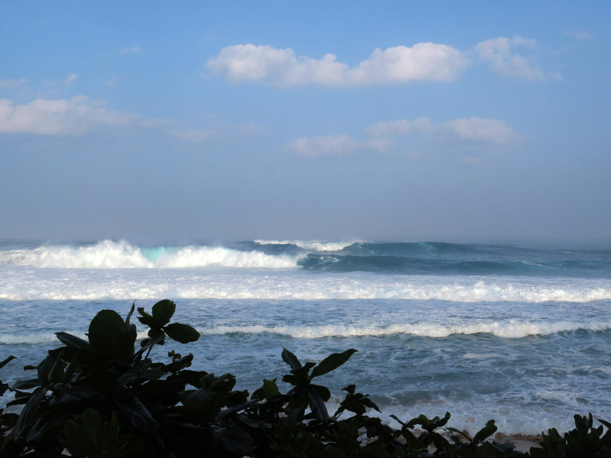 Lineup Volcom Pipe Pro Day 1