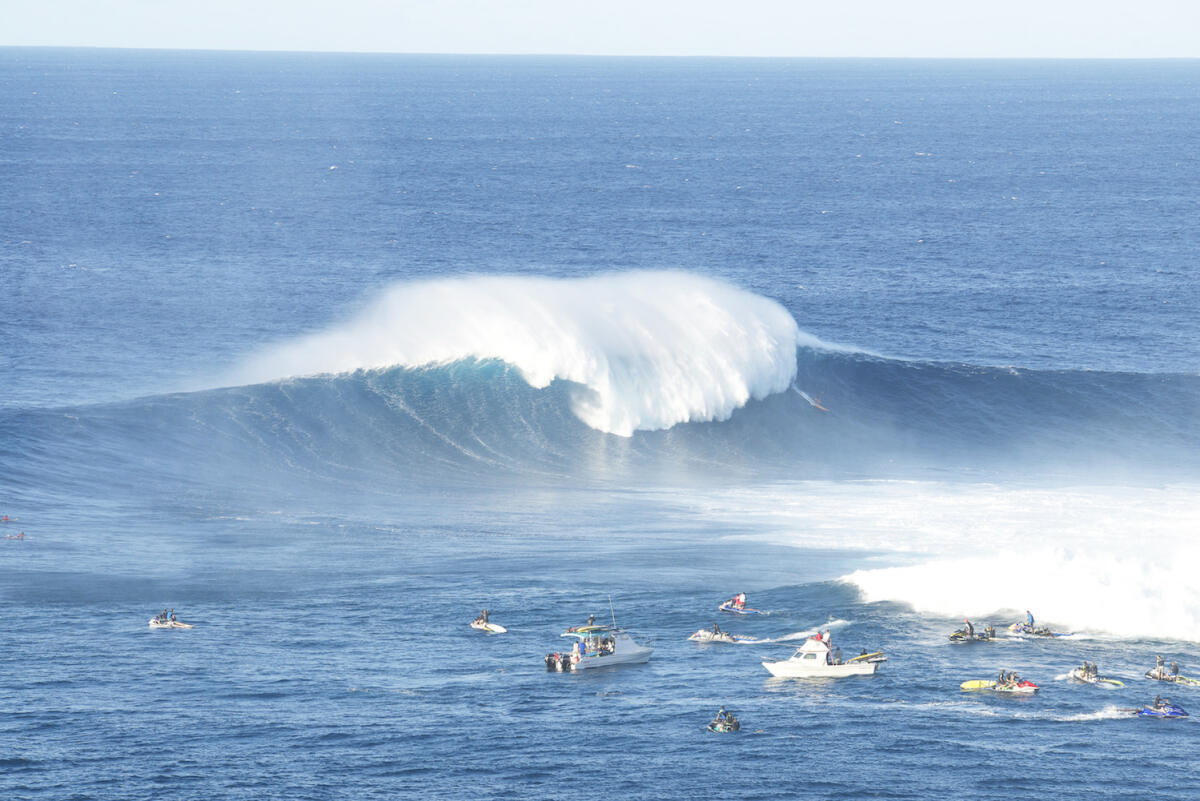 Danilo Couto at Jaws