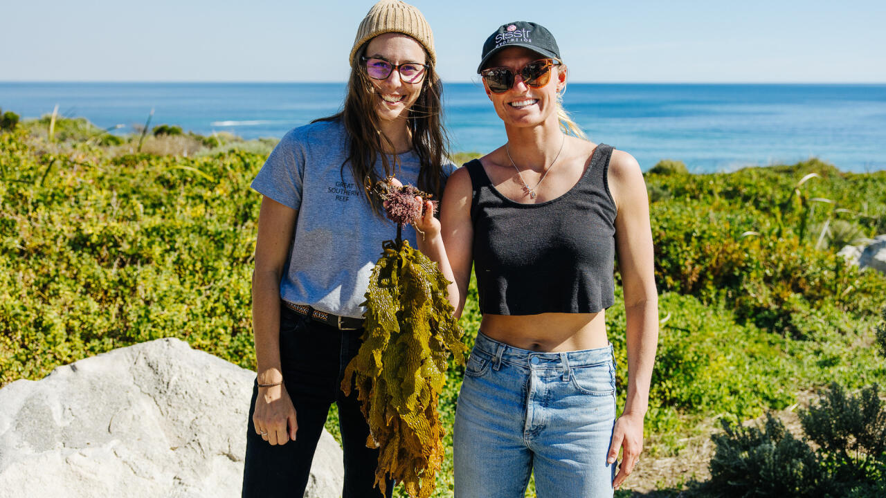 Great Southern Reef research scientist Sahira Bell shares details on the interconnected kelp forest ecosystem that spans across the southern half of the country.