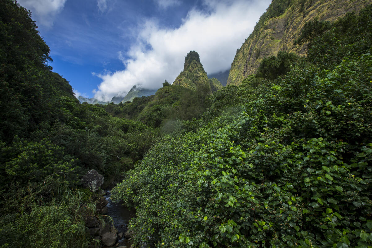Landscape Maui